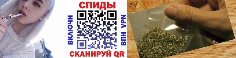 гидра   Кедровый  Бутират оксана 