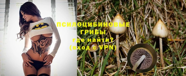 прущая мука Бородино