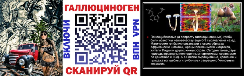 Псилоцибиновые грибы Psilocybine cubensis  Кедровый 